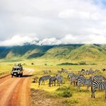 Best-time-to-visit-Tanzania-safaris