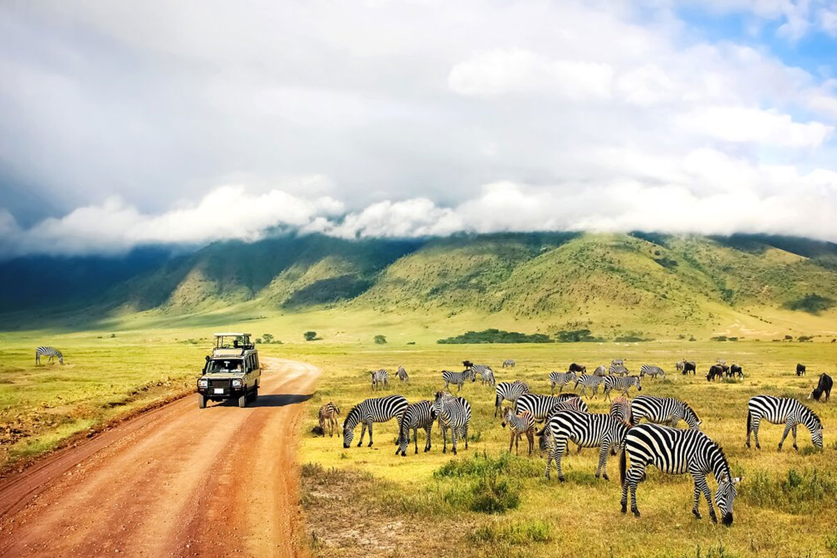 Best-time-to-visit-Tanzania-safaris