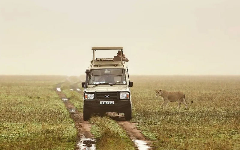 6-days-tanzania-camping-safari