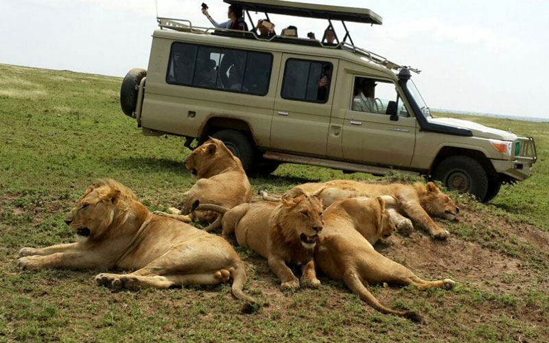 7-days-camping-tour-safari