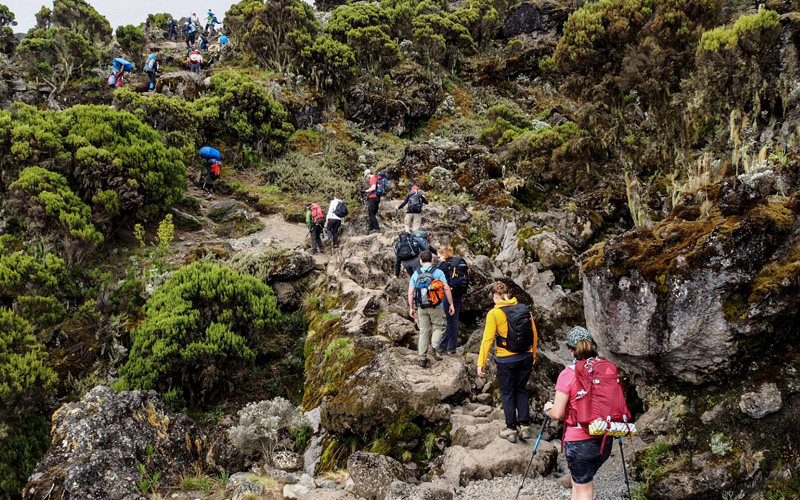7-days-Tanzania-Kilimanjaro-climbing-machame-route