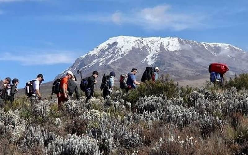 9-day-Kilimanjaro-climb-lemosho-route