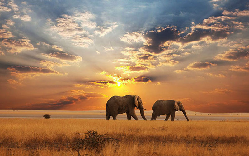 Sun-set-Africa-6-days-Tanzania-lodge-safari