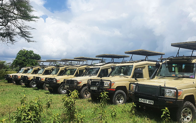 Safari-jeep-Tanzania-information