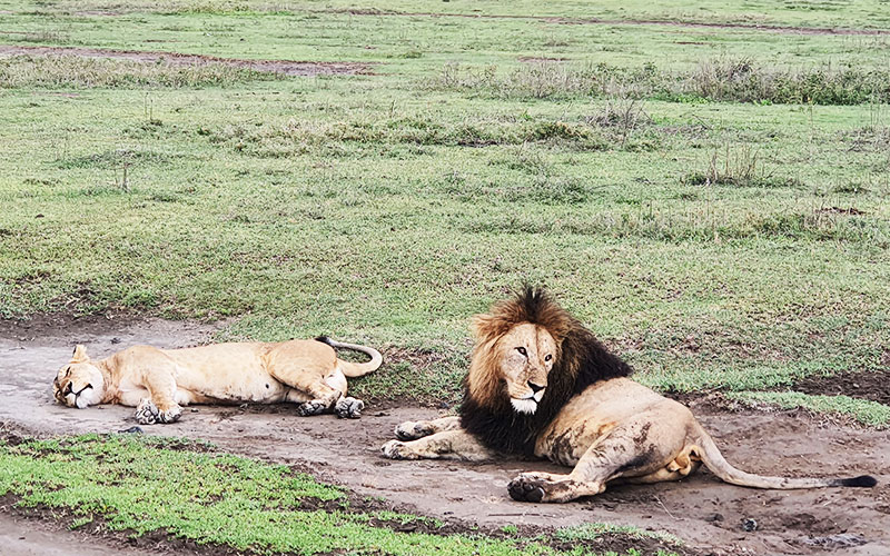 Zanzibar-beach-and-safari