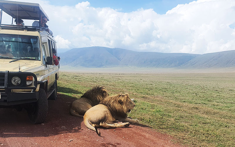 close-to-the-Big-five-Tanzania-camping-Safari