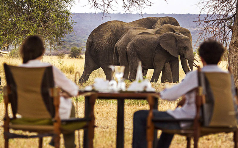 Bush-Lunch-Kenyan-Luxury-Safari
