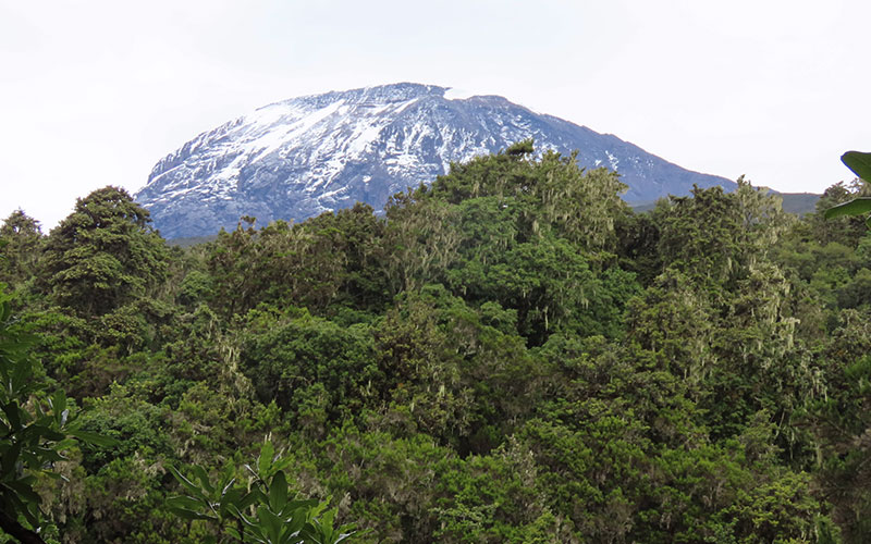 Mount-Kilimanjaro-Safari-Marangu-Route