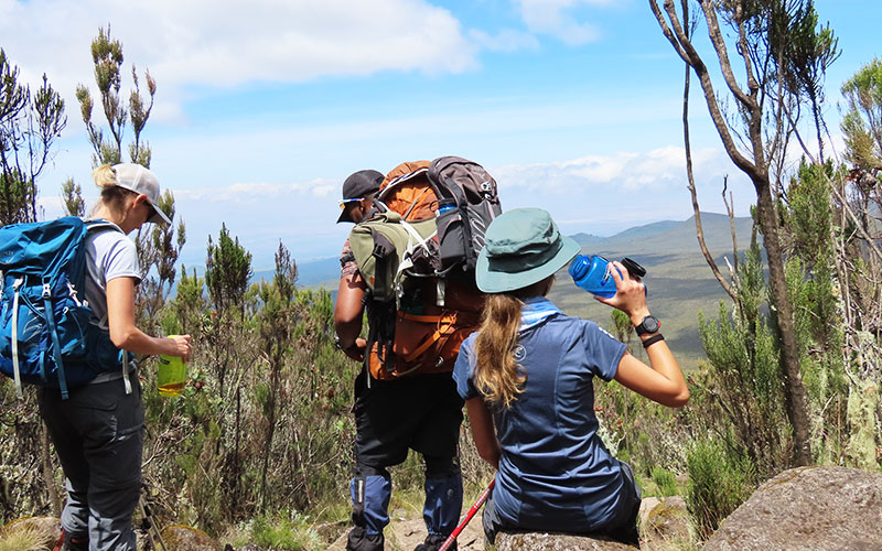 Tanzania-Mount-Kilimanjaro-climb-Lemosho-Route