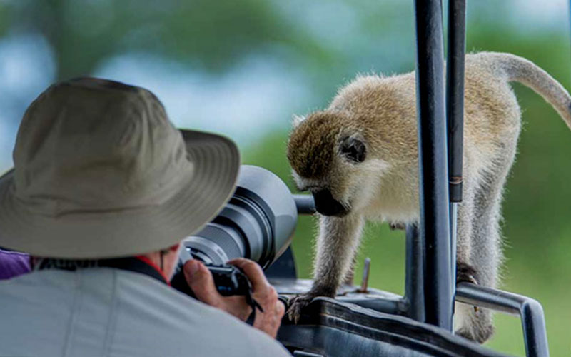 photographer-Tanzania-private-Safari-8-day