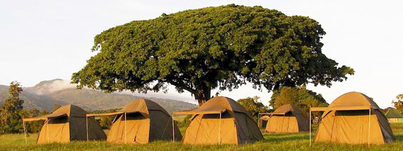 Ngorongoro-Tanzania-Camping-Safari