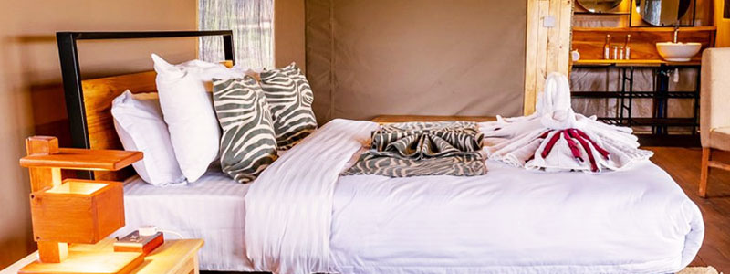 Tanzania-Luxury-Safari--Tented-Camp