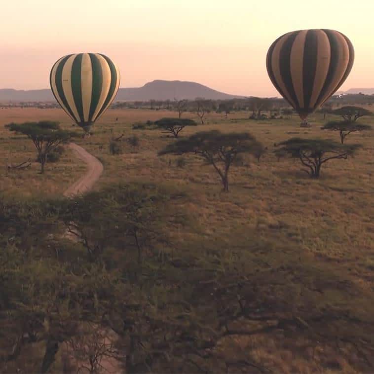 best-hot-air-balloon-safaris-for-the-migration