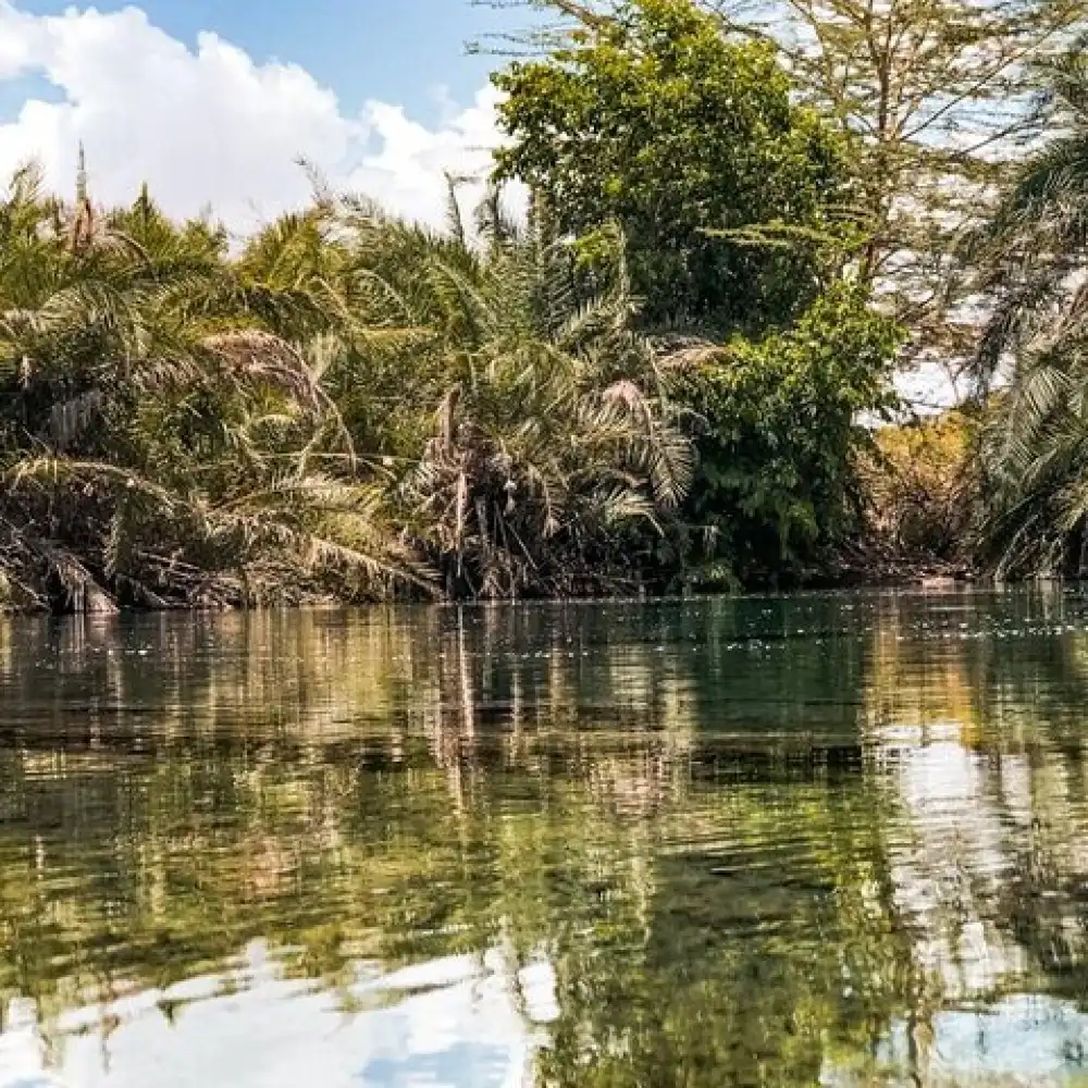 best-hot-springs-to-visit-after-a-tanzania-safari