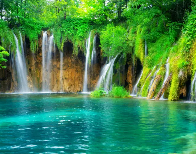 best-national-parks-for-flora-and-fauna-lovers