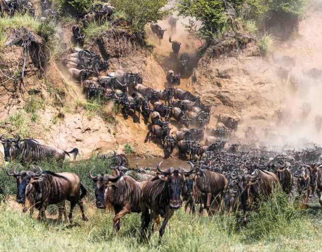 best-photography-spots-for-the-serengeti-migration