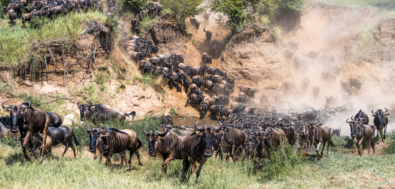 best-photography-spots-for-the-serengeti-migration