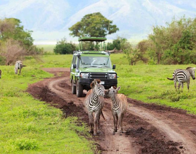 best-places-for-walking-safaris-in-tanzania