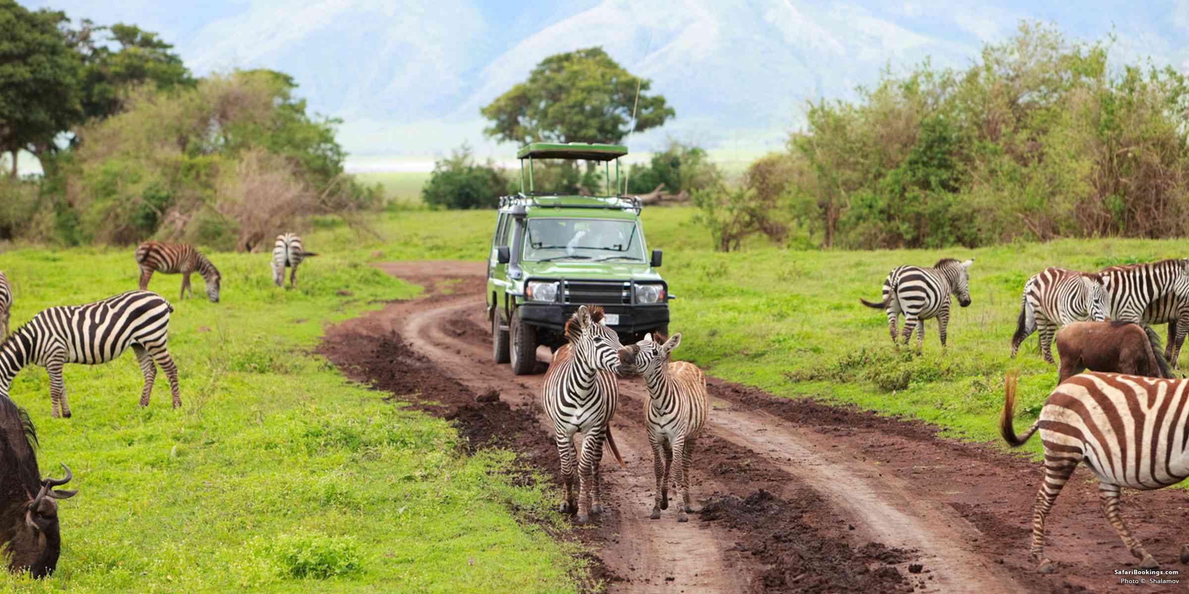 best-places-for-walking-safaris-in-tanzania