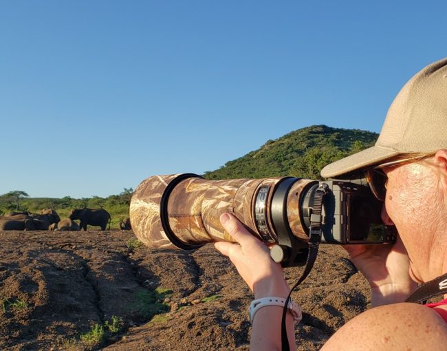 best-camera-gear-for-professional-safari-photography