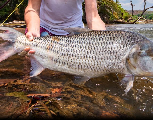 best-places-for-fishing-safaris-in-tanzania