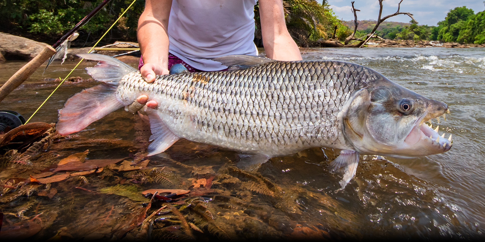best-places-for-fishing-safaris-in-tanzania
