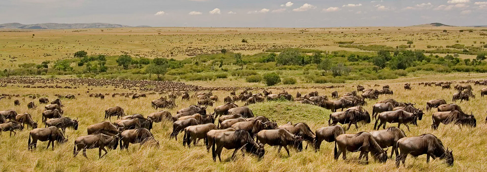 best-tanzania-safari-by-season